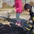 20250321_133232 (Copy)