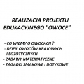 OWOCE 2