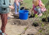 20250414_101324 (Copy)