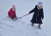 20260113_133603 (Copy)