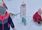 20260113_133606 (Copy)