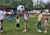20260505_143806 (Copy)